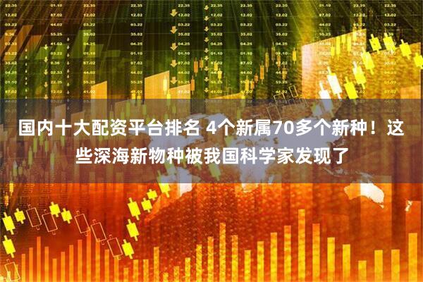 国内十大配资平台排名 4个新属70多个新种！这些深海新物种被我国科学家发现了